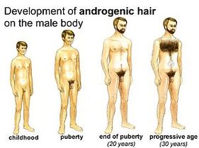 Períodos de desenvolvemento masculino