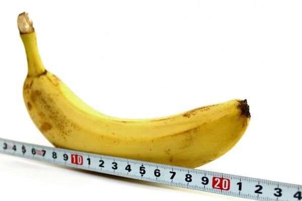 medición do pene no exemplo dun plátano