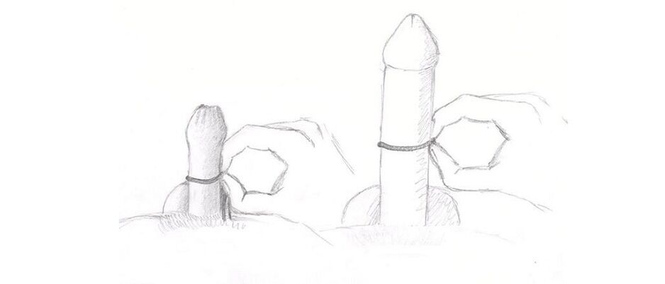 medición do grosor do pene